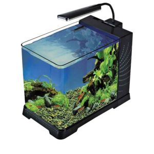 ساخت آکواریوم کوچک