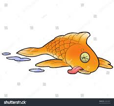 علت به پهلو افتادن ماهی قرمز