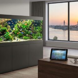 نصب و راه اندازی آکواریوم در اهواز