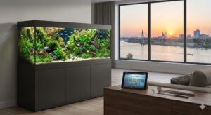 نصب و راه اندازی آکواریوم در اهواز