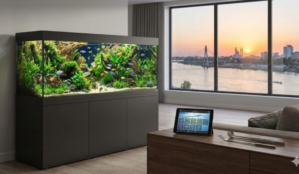 نصب و راه اندازی آکواریوم در اهواز